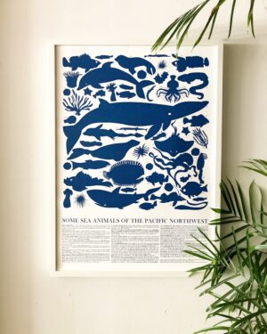 Ocean Creatures Poster