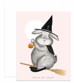 witch on flying broom