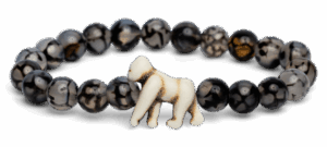 animal tracking bracelet