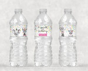Wild Animal Birthday Party Water Bottle Labels Set of 10